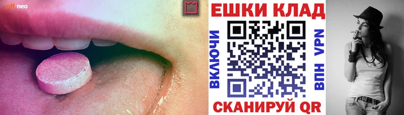 магазин продажи   Разумное  KRAKEN   Ecstasy Philipp Plein 