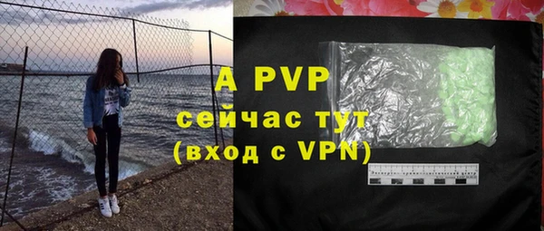 экстази Богданович