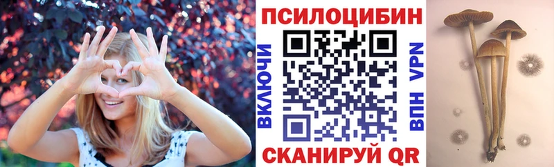 Галлюциногенные грибы Cubensis  Разумное 